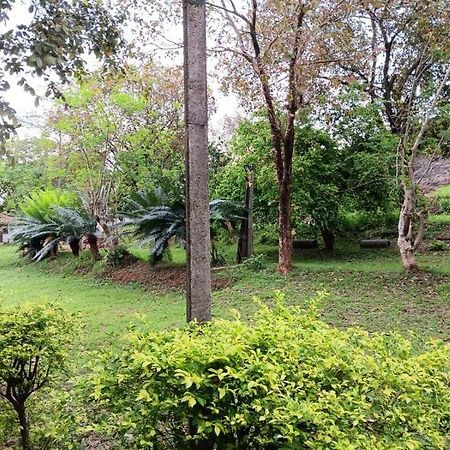 Aligama Cottage Talakolawela ภายนอก รูปภาพ