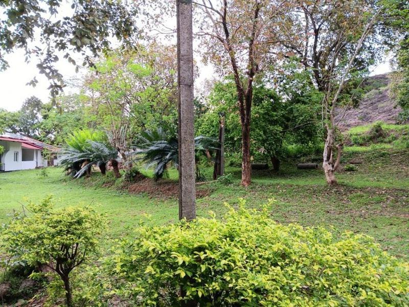 Aligama Cottage Talakolawela ภายนอก รูปภาพ