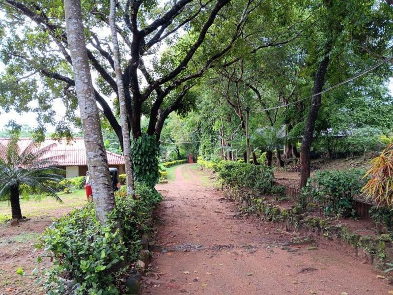 Aligama Cottage Talakolawela ภายนอก รูปภาพ